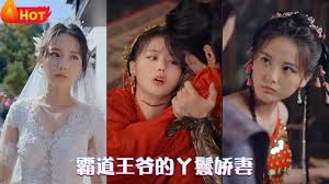 霸道王爷的丫鬟娇妻第03集