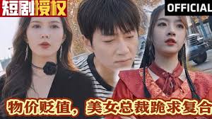 物价贬值，美女总裁跪求复合全集(大结局)