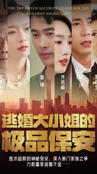 逃婚大小姐的极品保安41-60集