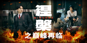 涅槃之巅峰再临全集(大结局)