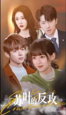 苏叶的反攻全集 (下)