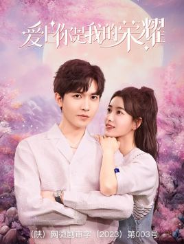 爱上你是我的荣耀全集(大结局)