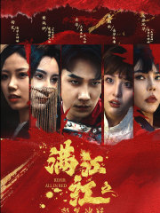 满江红之怒发冲冠全集(大结局)