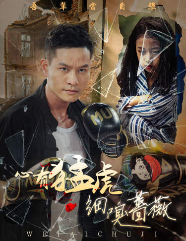 心有猛虎细嗅蔷薇全集(大结局)