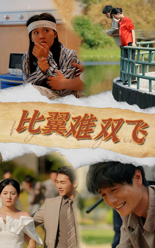 比翼难双飞全集(大结局)