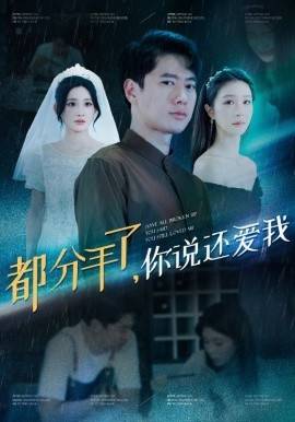 都分手了你说还爱我全集(大结局)
