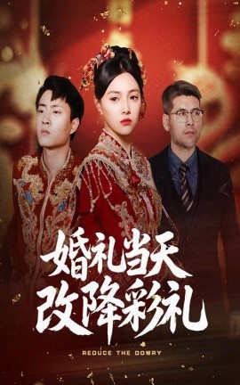 婚礼当天改降彩礼第31-60集(大结局)