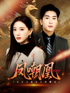 凤嘲凰第31-60集