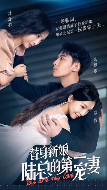 替嫁新娘陆总的第一宠妻全集(大结局)
