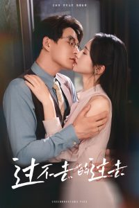 过不去的过去我用血肉去爱你全集(大结局)