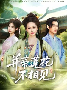 并蒂莲花不相见第31-60集