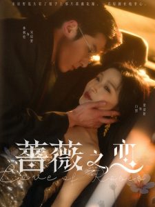 蔷薇之恋全集(大结局)