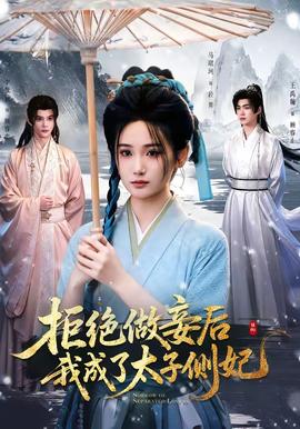 拒绝做妾后我成了太子侧妃(全集)