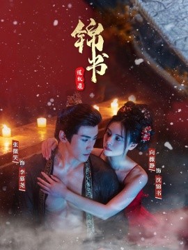 锦书谋权录第01-30集